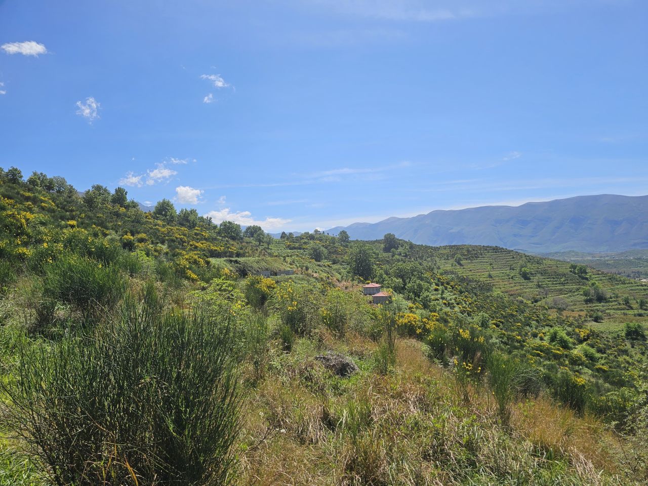 Land With Sea View  For Sale In Radhime Vlore Albania